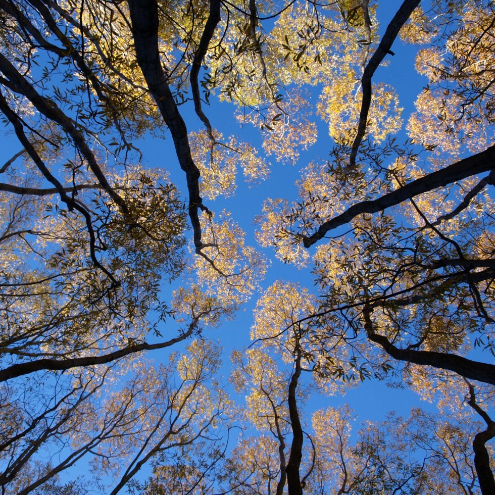 Arrowtown, New Zealand