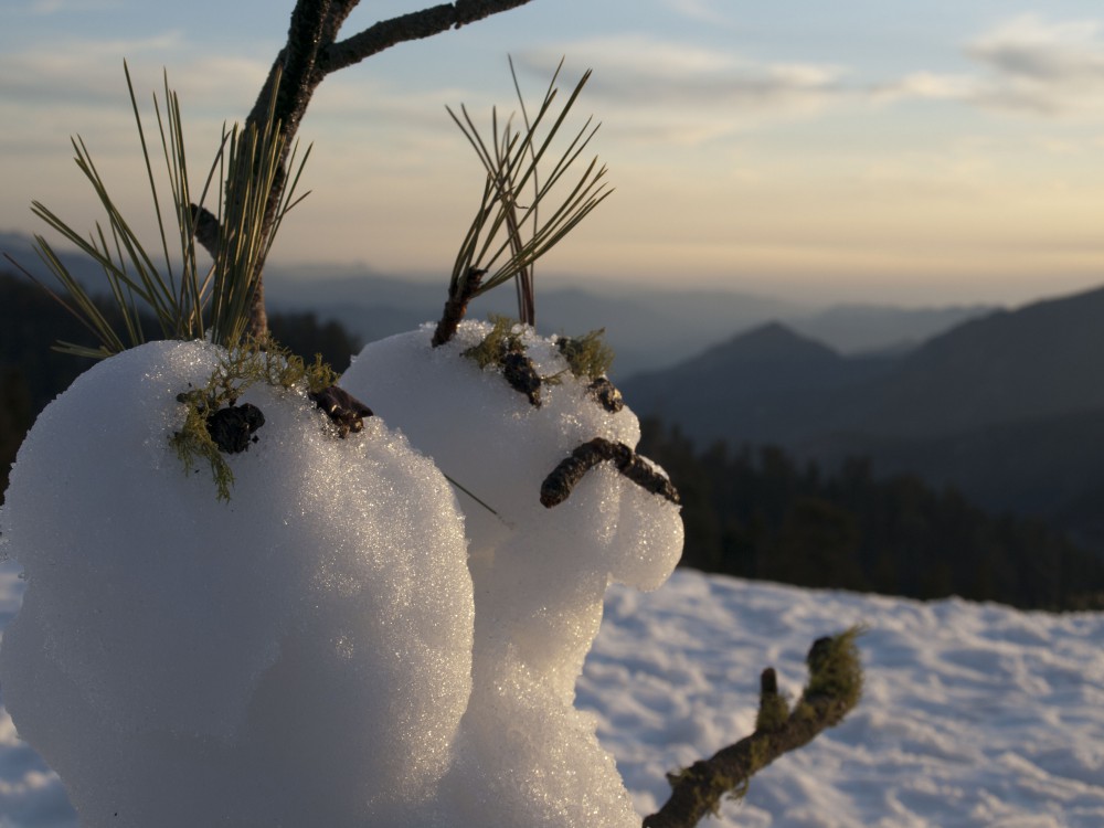 Sequoia National Park