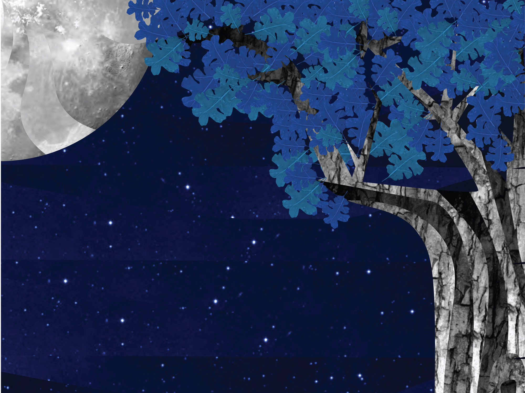 Once Upon a Canyon Night: Poster