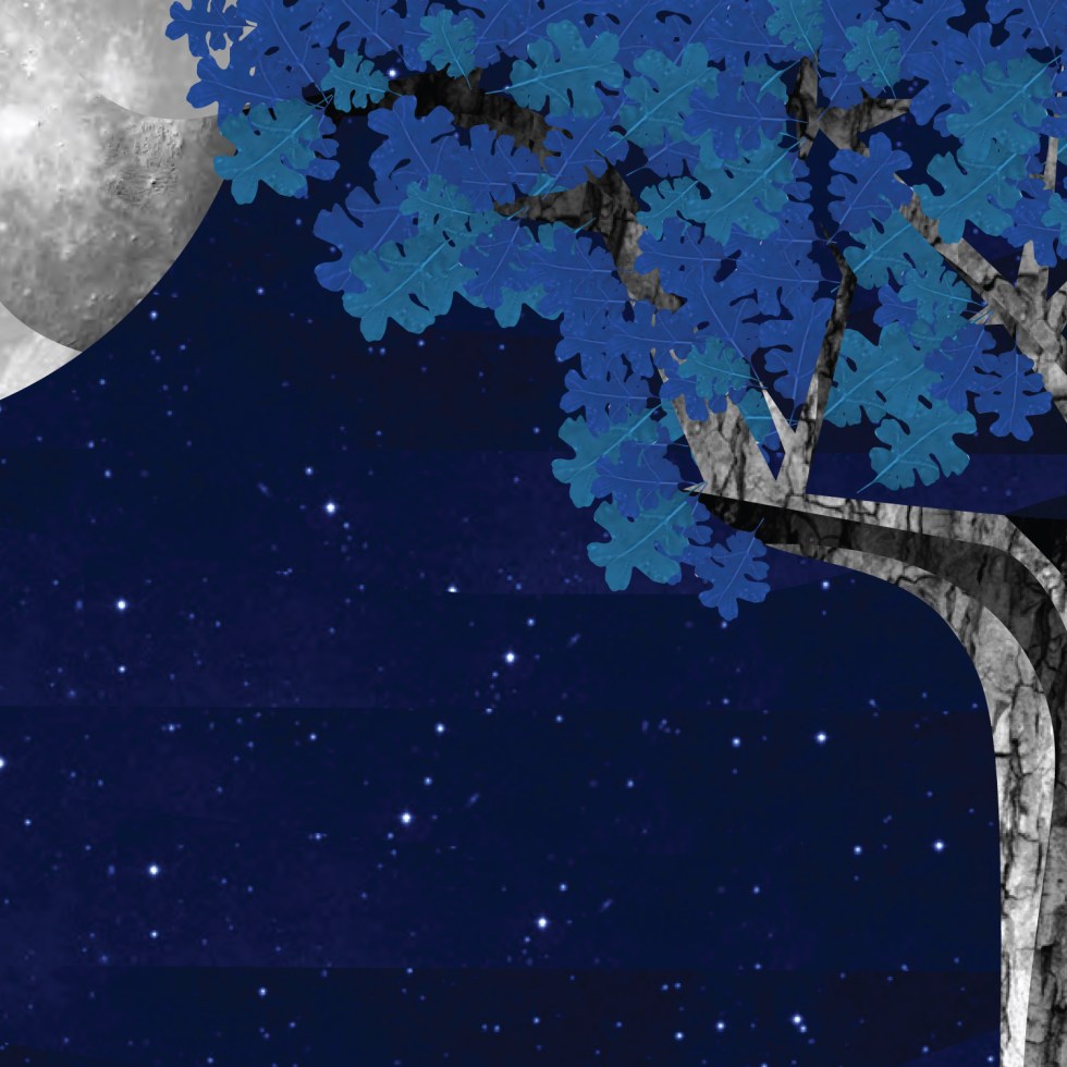 Once Upon a Canyon Night: Poster