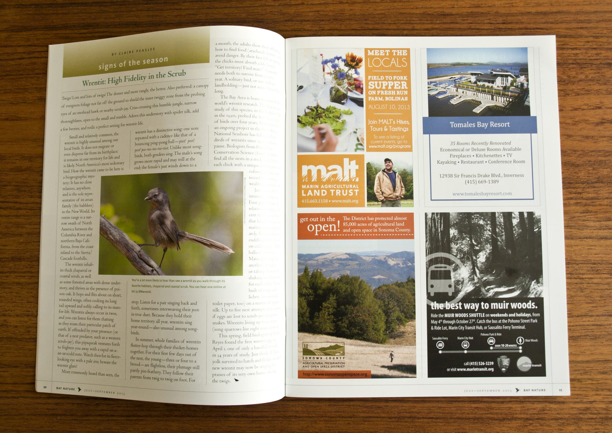 Bay Nature Magazine Spread