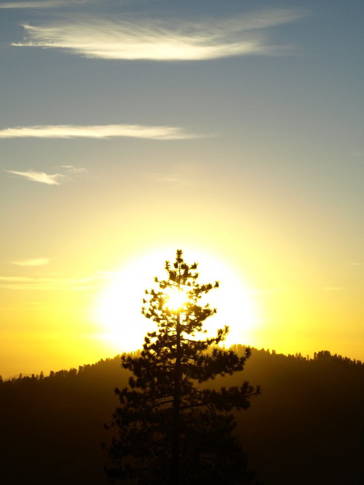 Sequoia National Park, CA