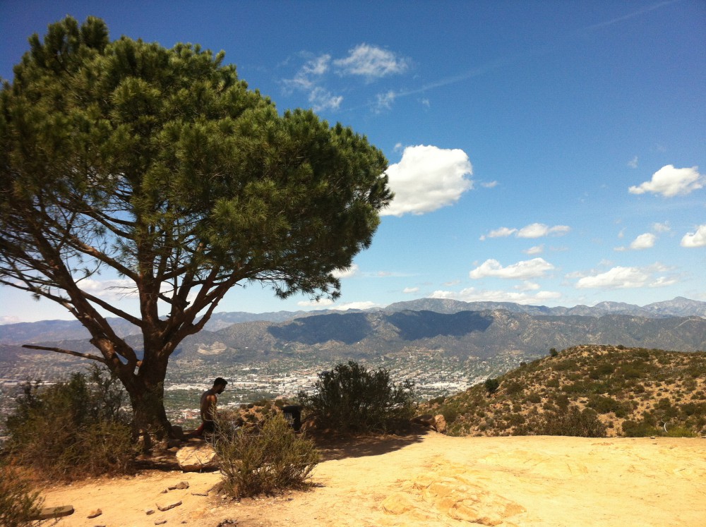 Wisdom Tree, Griffith Park (Los Angeles, CA)