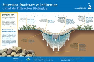 Marsh Park: Bioswale Wayside