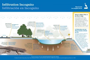 Marsh Park: Infiltration Wayside