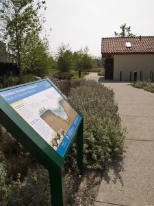 Marsh Park Bioswales Wayside Panel