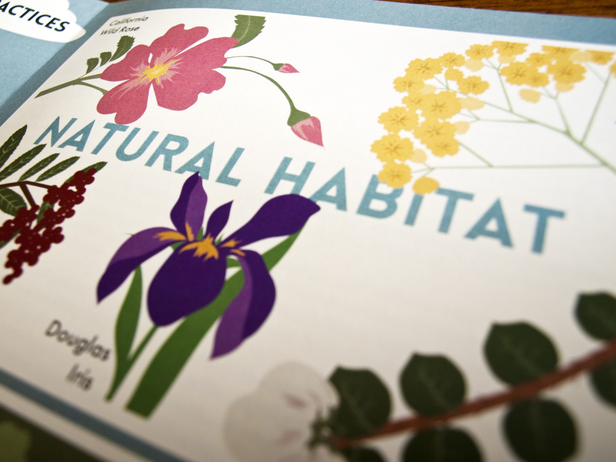 Symbiosis: The Water Issue - Water Best Management Practices