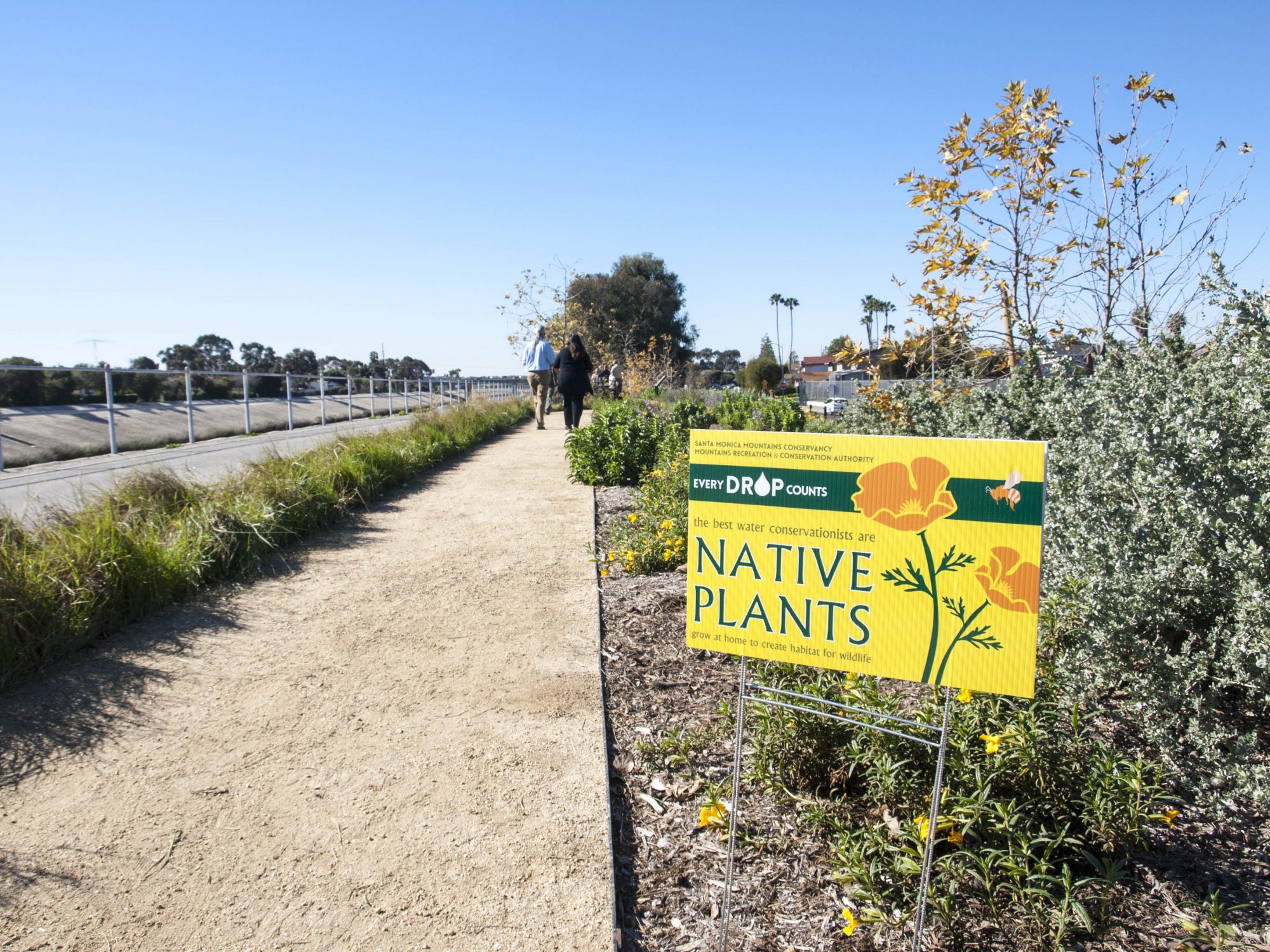 Every Drop Counts: Native Plants