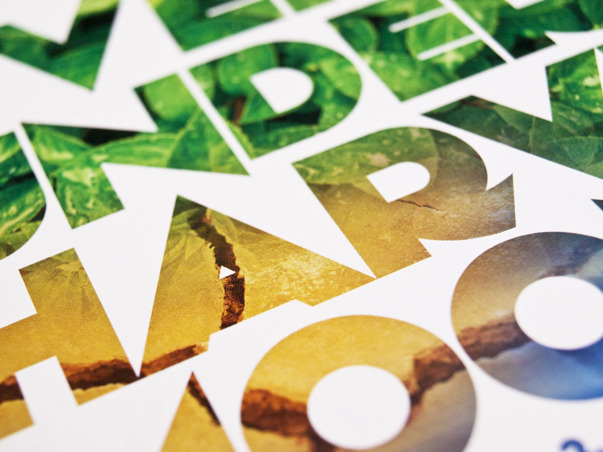 An Evening Under the Harvest Moon - Invitation