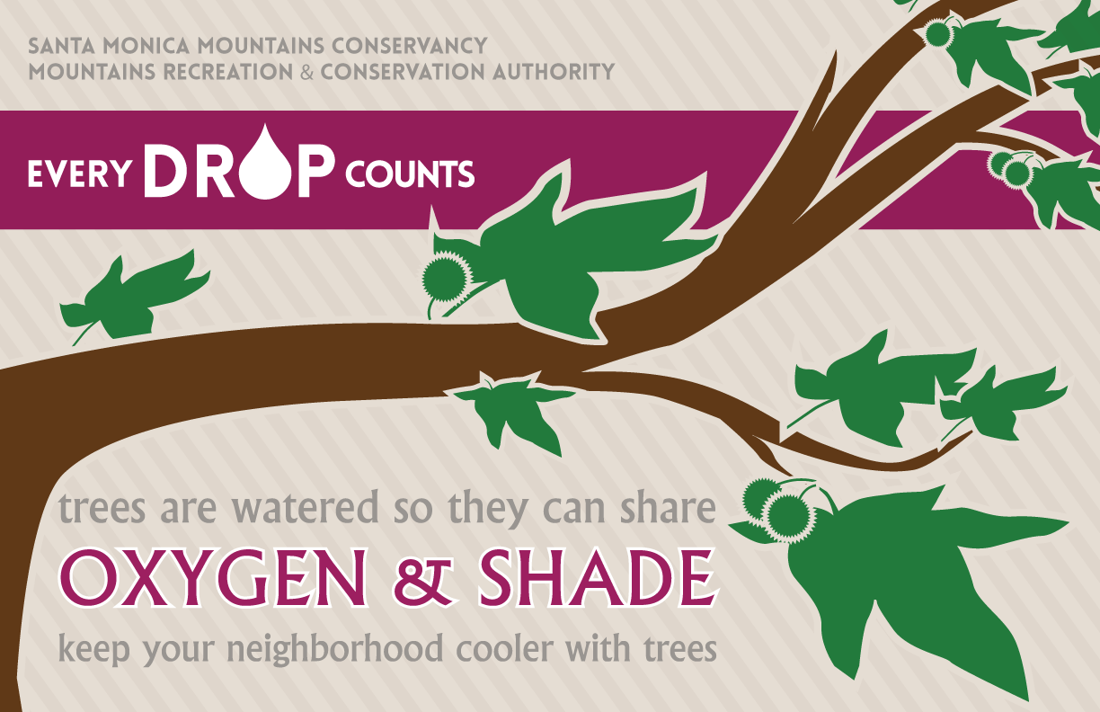 Every Drop Counts: Oxygen & Shade