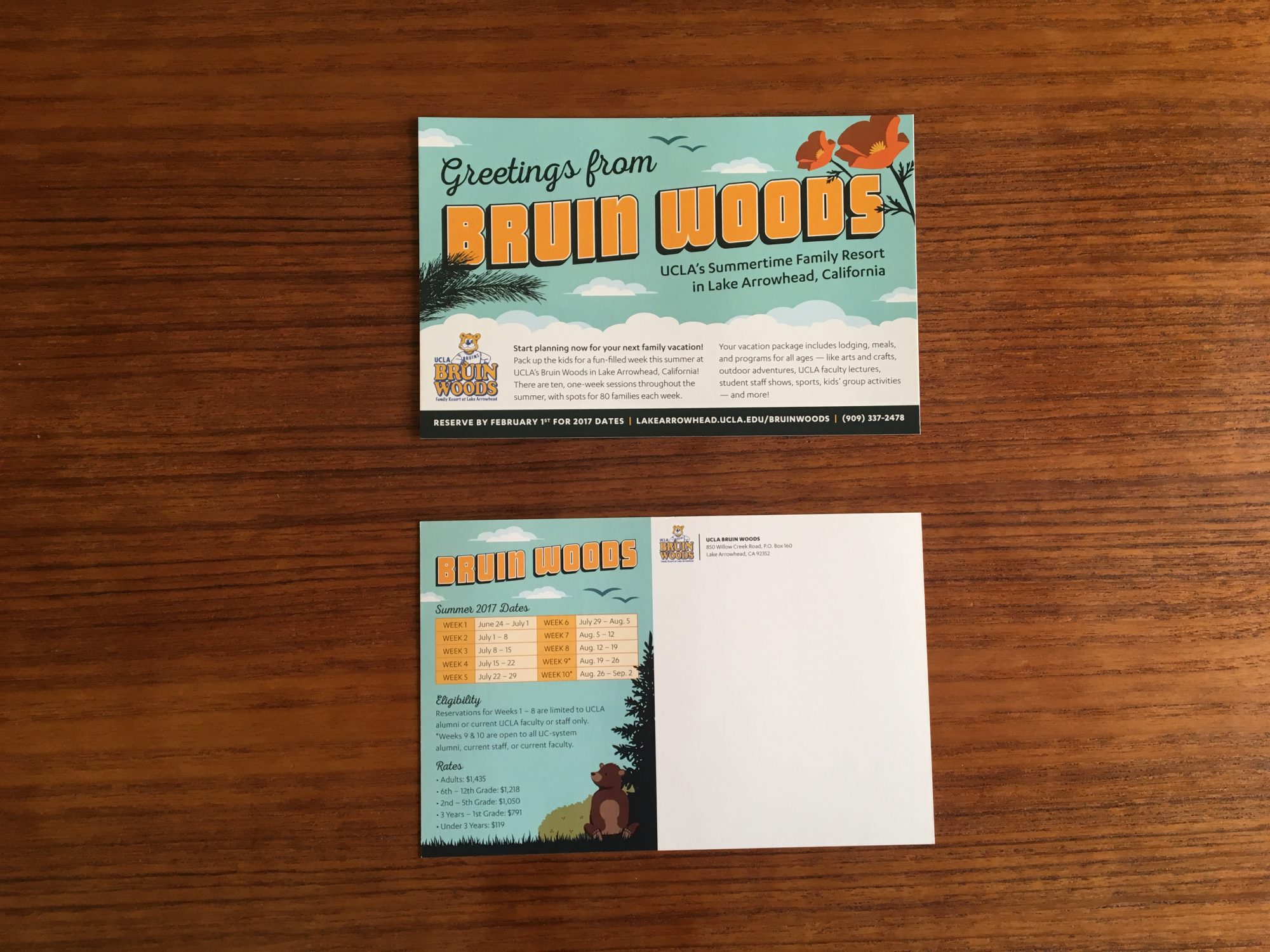 UCLA Bruin Woods Postcard